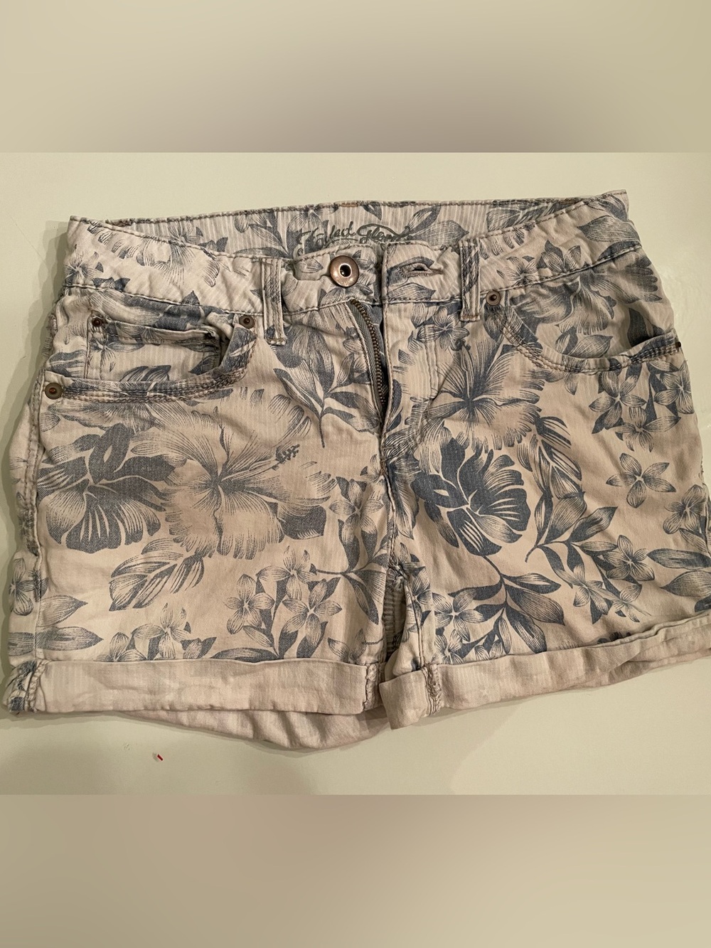 Faded Glory Beige Floral Jean Shorts with Blue Print